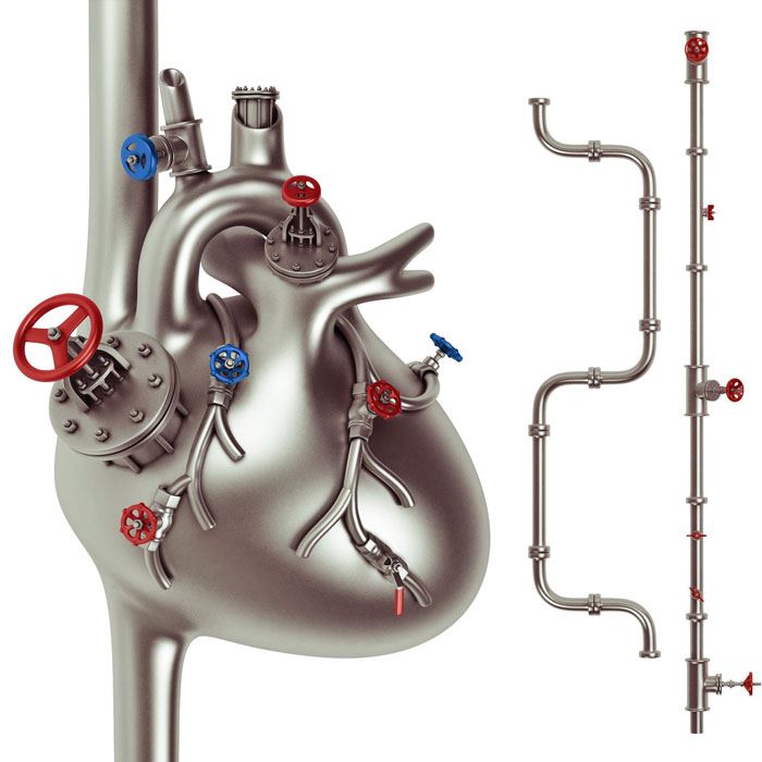 Aqua in Motion | Klassische Wasserdüsen